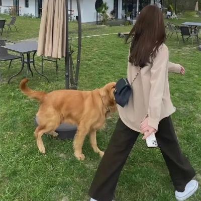 飞越九霄